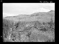 A natural protective watershed has been destroyed by unscrupulous logging companies. Mount Hood National Forest, Oregon. Sourced from the Library of Congress.