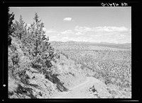 A stock trail built by the Resettlement Administration leading to the Deschutes River. Peaks of the Cascades in the distance. Oregon. Sourced from the Library of Congress.