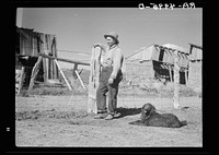 Central Oregon sheep herder. Sourced from the Library of Congress.