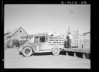 Trucks like these bring the last remnants of the small ranchers' herds to the stockyards. Billings, Montana. Sourced from the Library of Congress.
