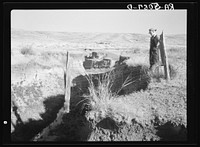 Gully on farm near Bickleton, Washington. (Note how ground under fence post has been washed away). Sourced from the Library of Congress.