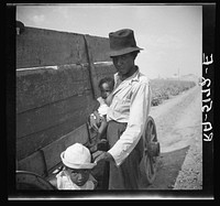 Cotton picker. Kaufman County, Texas. Sourced from the Library of Congress.