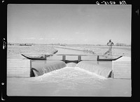 Main irrigation canal. Bosque Farms, New Mexico. Sourced from the Library of Congress.