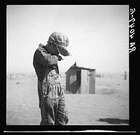 Dust is too much for this farmer's son in Cimarron County, Oklahoma. Sourced from the Library of Congress.