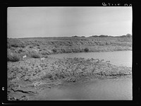 Abandoned strip coal mine leveled and planted with trees by Civilian Conservation Corps (CCC) workers. Cherokee County, Kansas. Sourced from the Library of Congress.