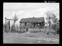 Part of John Cain family who live in this three-room house near Ashland, Missouri. University of Missouri game and arboretum project. Sourced from the Library of Congress.