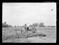 Rehabilitation client using dump rake on clover. St. Charles Parish, Louisana. Sourced from the Library of Congress.