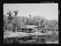 Palm house and shacks along drainage canal near Hammond, Louisiana. Some miles north of New Orleans. Sourced from the Library of Congress.
