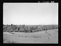 Terracing and cotton patch with Appalachian Mountains in the distance. Near Cornelia, Georgia. Sourced from the Library of Congress.
