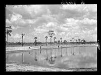 Preparing banks for grass planting in one of ten two-acre fish rearing ponds on Welaka wildlife and forest conservation project. Welaka, Florida. Sourced from the Library of Congress.
