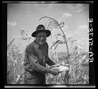 With a good corn crop this rehabilitation client expects to repay his loan this year. Kaufman County, Texas. Sourced from the Library of Congress.
