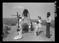 Cotton pickers. Kaufman County, Texas. Sourced from the Library of Congress.