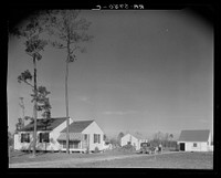 Homestead of C.D. Grant. Penderlea, North Carolina. Sourced from the Library of Congress.