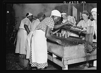 White and  women employed at the canning plant in Dania, Florida. Many of the women are migrants and live in nearby camps. Sourced from the Library of Congress.