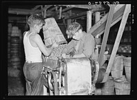 Chopping beans in the canning plant at Dania, Florida. Youthful workers are allowed to use dangerous machinery without safeguards. Sourced from the Library of Congress.
