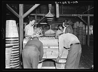 Scene in vegetable packing plant at Deerfield, Florida. Most of the workers are migrants. Sourced from the Library of Congress.