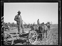 Farmer waiting for supplies which he is buying cooperatively at Roanoke Farms, North Carolina. Sourced from the Library of Congress.