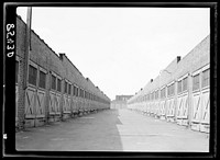 Garages in alley behind row houses. Baltimore, Maryland. Sourced from the Library of Congress.