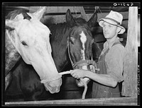 Rehabilitation client with team of horses. Gage County, Nebraska. Sourced from the Library of Congress.