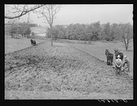 Small farm near Frederick, Maryland. Sourced from the Library of Congress.
