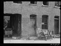 Alley dwelling section. The house in front of which the children are sitting is inhabited; the one to the right is gutted. Washington, D.C.. Sourced from the Library of Congress.