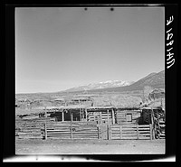[Untitled photo, possibly related to: Corrals at the Taos Pueblo, New Mexico]. Sourced from the Library of Congress.