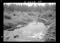 [Untitled photo, possibly related to: Source of the Mississippi River. Lake Itasca, Minnesota]. Sourced from the Library of Congress.