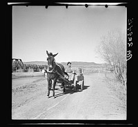 [Untitled photo, possibly related to: Farmer of the Rio Grande Valley coming home from town. Dona Ana County, New Mexico]. Sourced from the Library of Congress.