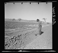 [Untitled photo, possibly related to: Irrigating a field. Dona Ana County, New Mexico]. Sourced from the Library of Congress.