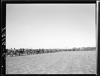 [Untitled photo, possibly related to: Lines of farmers waiting for cotton seed which they are buying cooperatively. Roanoke Farms, North Carolina]. Sourced from the Library of Congress.