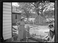 [Untitled photo, possibly related to Farms of Farm Security Administration clients, Guilford and Beaufort Counties, North Carolina]. Sourced from the Library of Congress.
