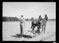 [Untitled photo, possibly related to: Roller constructed by Rehabilitation Administration client which is used to flatten soil between cotton and help in keeping moisture in the land. Near Batesville, Arkansas]. Sourced from the Library of Congress.
