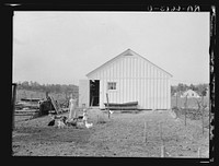 [Untitled photo, possibly related to: One of the Palmerdale Homesteads near Birmingham, Alabama]. Sourced from the Library of Congress.