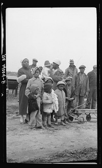 [Untitled photo, possibly related to: Parkin (vicinity), Arkansas. The families of evicted sharecroppers of the Dibble plantation. They were legally evicted the week of January 12, 1936. The plantation having charged that by membership in the Southern Tenant Farmers' Union they were engaging in a conspiracy to retain their homes. This contention granted by the court, the eviction, though at the point of a gun, was quite legal. The pictures were taken just after the evictions before they were moved into the tent colony they later enjoyed]. Sourced from the Library of Congress.