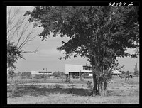 [Untitled photo, possibly related to: Weslaco, Texas. FSA (Farm Security Administration) camp. Clinic and labor homes. Rent is seven dollars per month]. Sourced from the Library of Congress.