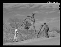 [Untitled photo, possibly related to: Weslaco, Texas. FSA (Farm Security Administration) camp. Irrigation canal at entrance]. Sourced from the Library of Congress.