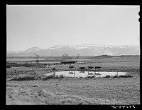 Farm. Washoe County, Nevada. Sourced from the Library of Congress.