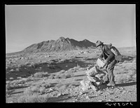 [Untitled photo, possibly related to: Prospector marking his claim. Esmeralda County, Nevada]. Sourced from the Library of Congress.