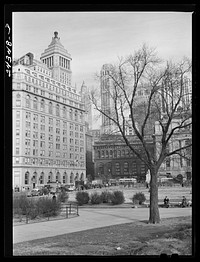 Buildings from Battery Park. New York City. Sourced from the Library of Congress.
