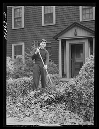 [Untitled photo, possibly related to: Sweeping fallen leaves in the suburbs. New York City]. Sourced from the Library of Congress.