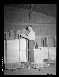 Checker at dimension lumber mill. This mill affords employment to a great many of the men and older boys living on the project. It is located near the project shopping center. Dailey, West Virginia. Sourced from the Library of Congress.