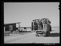 Migratory workers returning from day's work. Robstown FSA (Farm Security Administration) camp, Texas. Sourced from the Library of Congress.