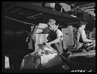 Weslaco, Texas. Packing broccoli in the packing shed. Sourced from the Library of Congress.