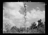 Tower used for detecting forest fires on resettlement project. Withlacoochee Land Use Project, Florida. Sourced from the Library of Congress.