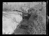Erosion control. Tuskegee Project, Macon County, Alabama. Sourced from the Library of Congress.
