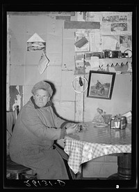 Mrs. Cylyea lives in a remodeled chicken house. Oswego County, New York. Sourced from the Library of Congress.
