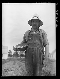 Resettled farmer at Wabash Farms, Indiana. Sourced from the Library of Congress.