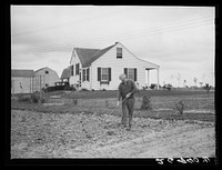 Walter Bollinger in garden. Decatur Homesteads, Indiana. Sourced from the Library of Congress.