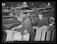 Apple packinghouse workers. Camden County, New Jersey. Sourced from the Library of Congress.