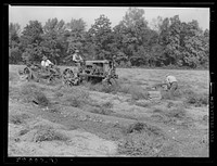 Mechnical potato digger. Monmouth County, New Jersey. Sourced from the Library of Congress.